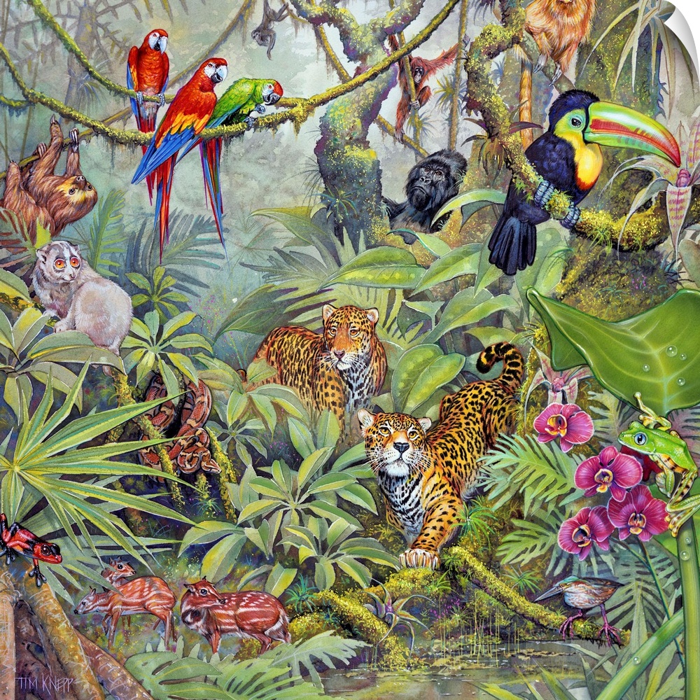 Jungle scene with parrots, a toucan, leopards, and other jungle animals