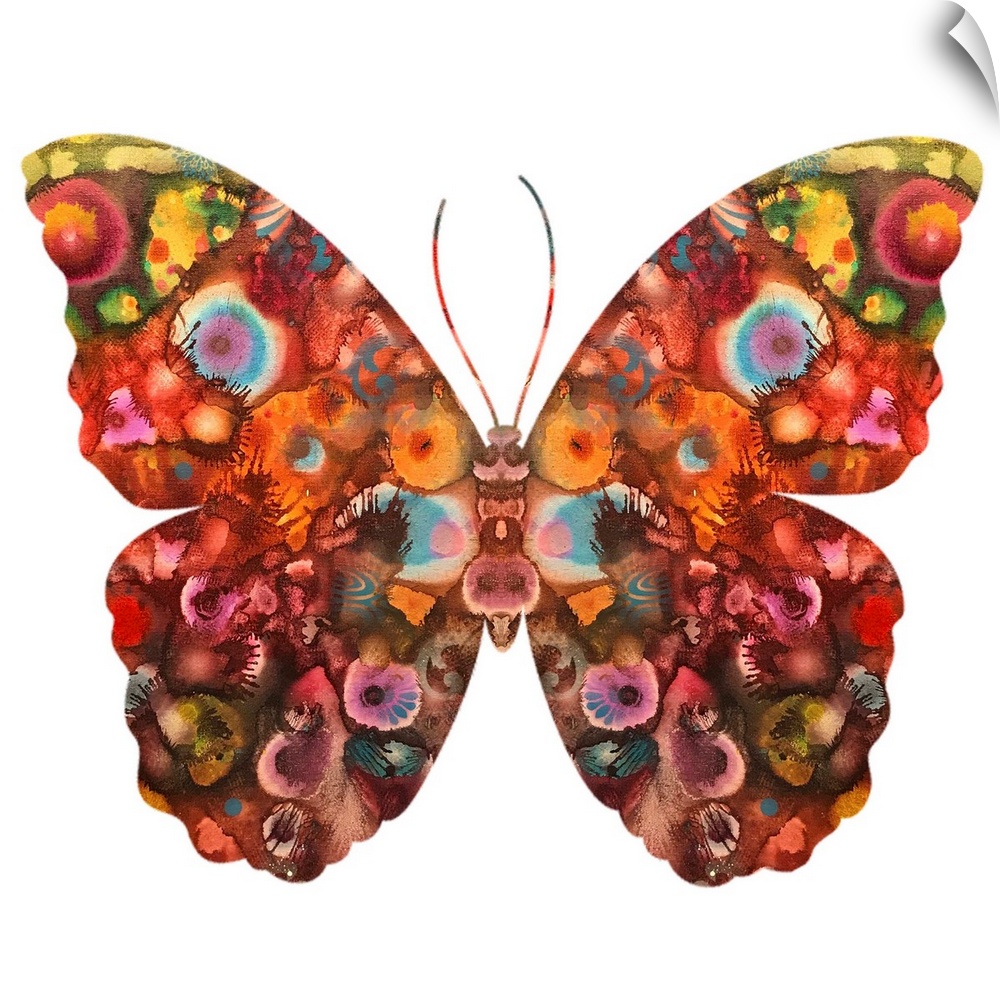 Kamasi Butterfly