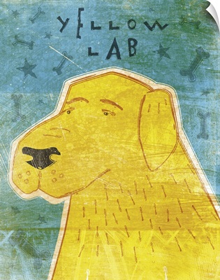Lab (yellow)