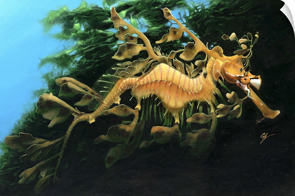 Contemporary painting of a seahorse resembling its environment swimming underwater.