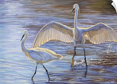 Light Dance (Snowy Egrets)