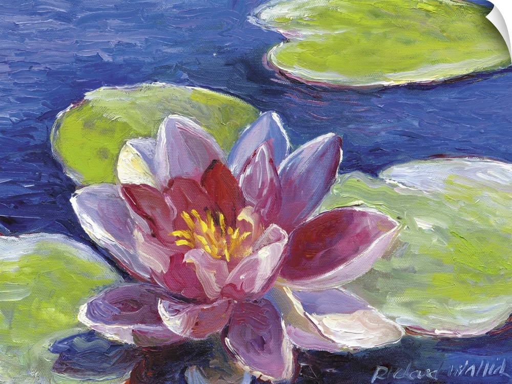 Contemporary colorful painting of a water lily.