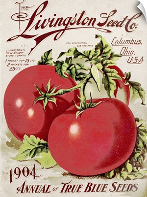 Livingston Tomato