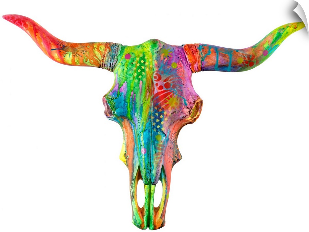 Colorful painting of a longhorn skull covered in abstract designs on a solid white background.