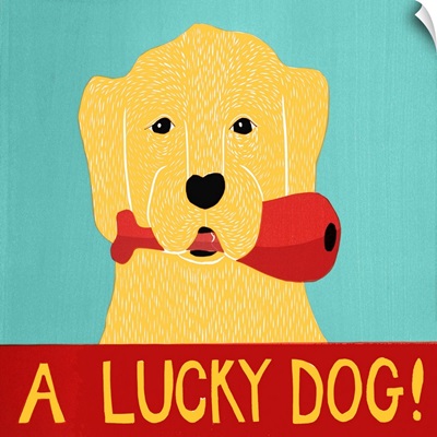 Lucky  Dog