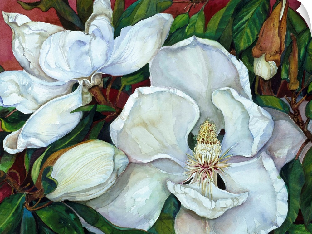 Colorful contemporary painting of white magnolias.