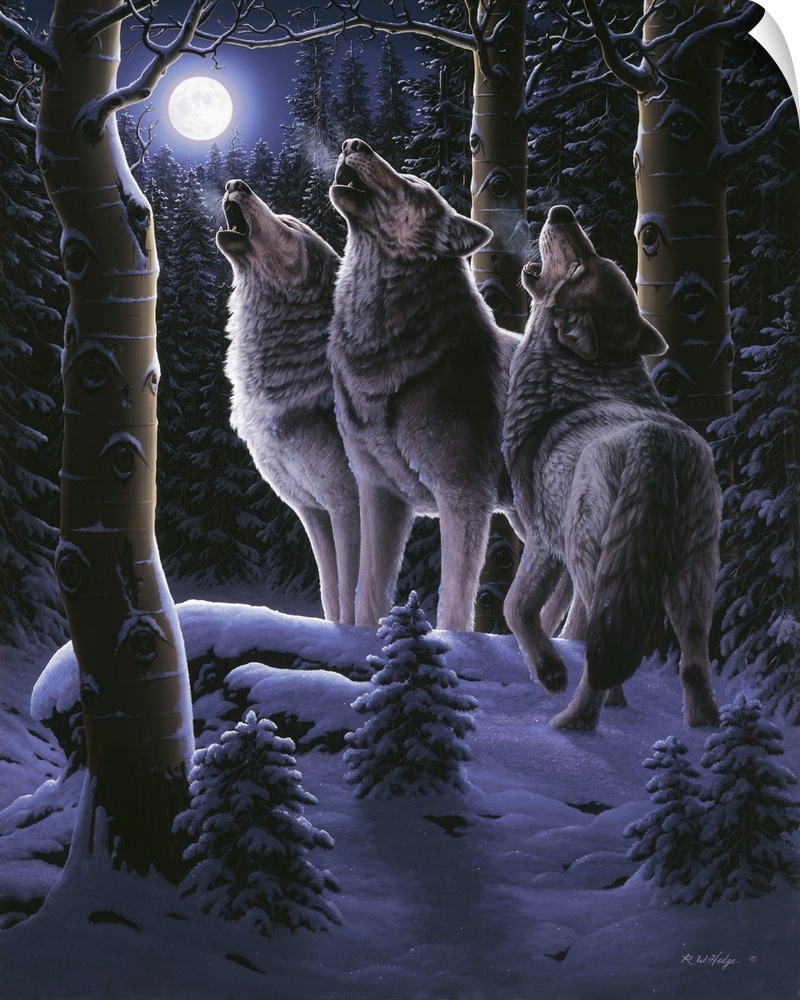Three wolves howling in unison, with a full moon in the sky, snow on the ground.