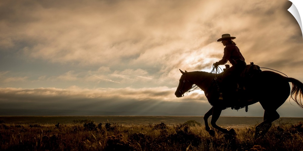 Silhouette of a cowgirl on horseback in a field.