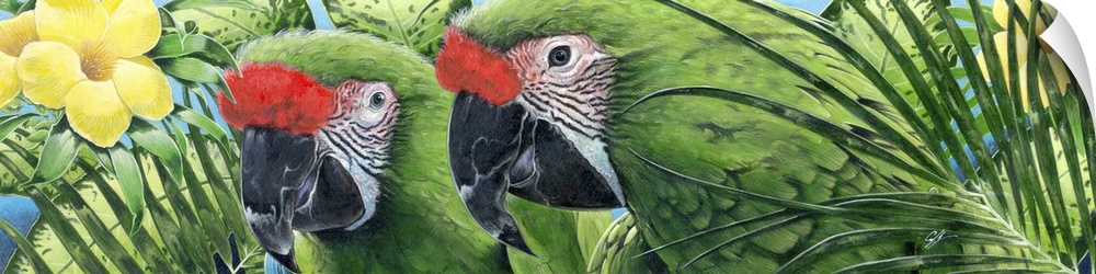 Contemporary painting of a close-up of two tropical green parrots.