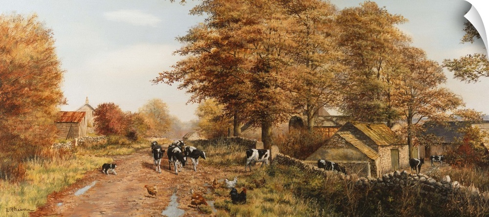 Cows and chickens on muddy dirt road by outbuildings and stone walls in fall.