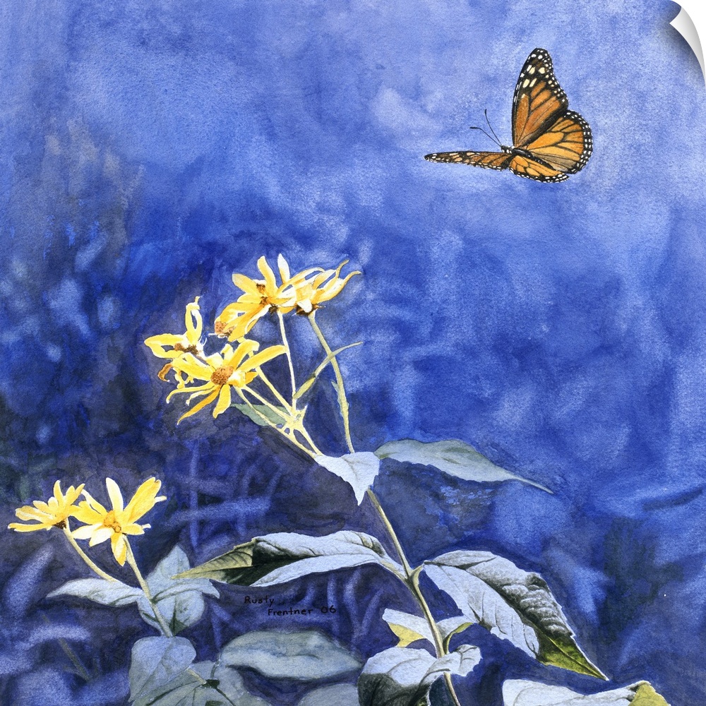 A monarch butterfly approaches a small group of flowers.