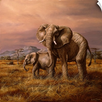 Mother and Child (Elephants)