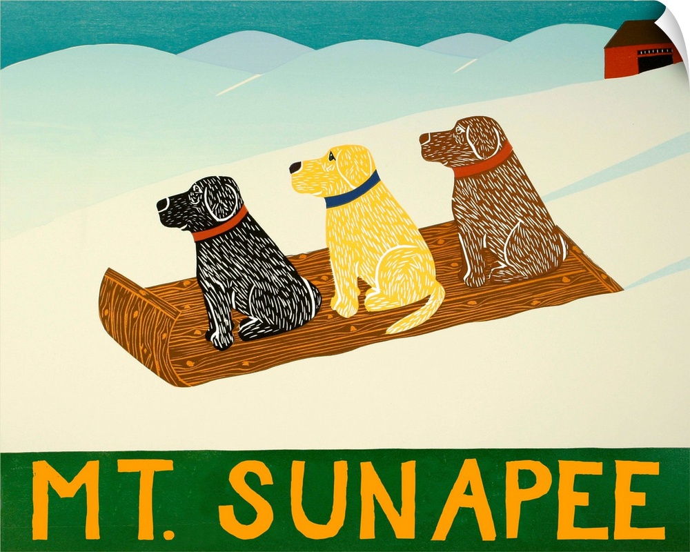 Illustration of a chocolate, yellow, and black lab sledding down the slopes with "Mt. Sunapee" written on the bottom.