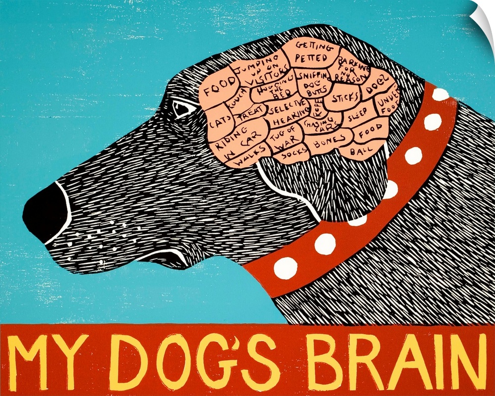 Illustration of a black lab showing its brain and how its brain is divided up with the phrase "My Dog's Brain" written on ...