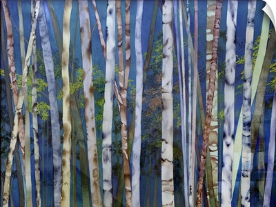 Mystery Of Trees-Birches