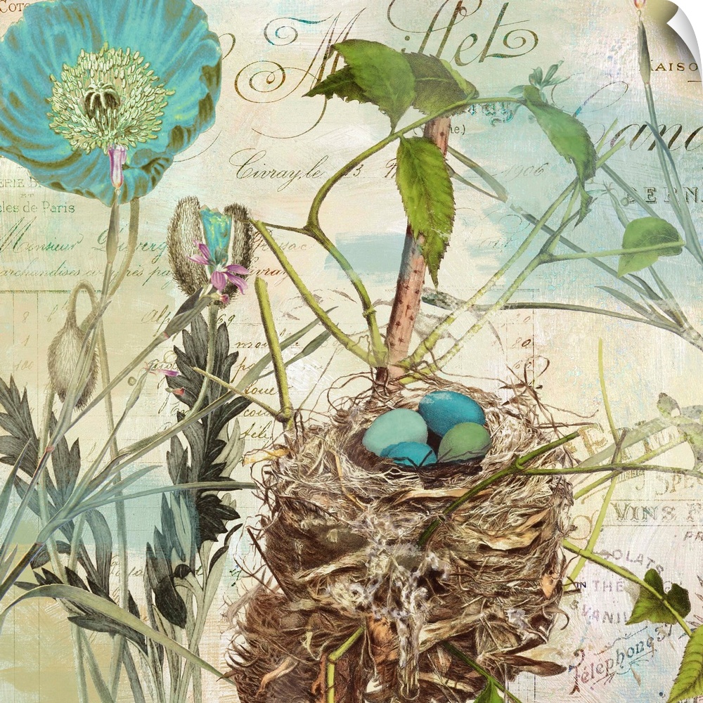 Nest with robin's egg, flowers, postage, vintage