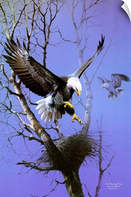 Eagle Wall Art & Canvas Prints  Eagle Panoramic Photos, Posters