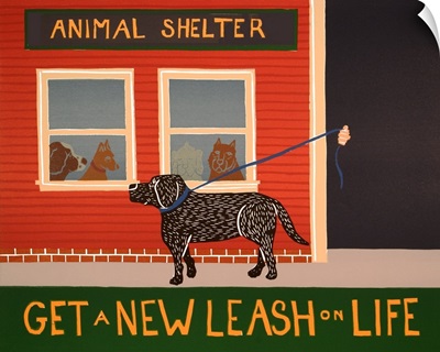 New Leash On Life Animal Shelter
