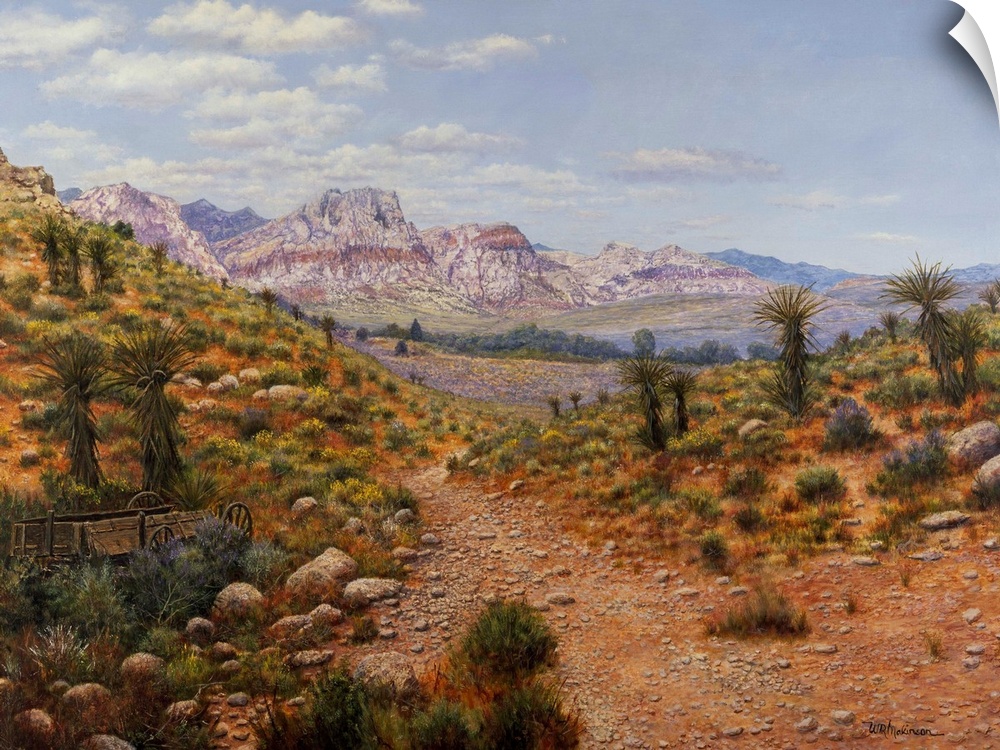 Dirt trail through arid land with canyons and water in distance.