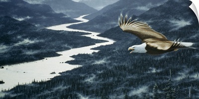 On The Silent Wings Of Freedom