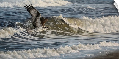 Osprey And Surf