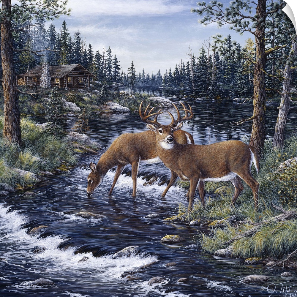 2 deer drinking from a mountain stream