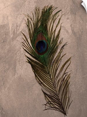 Peacock Feathers II