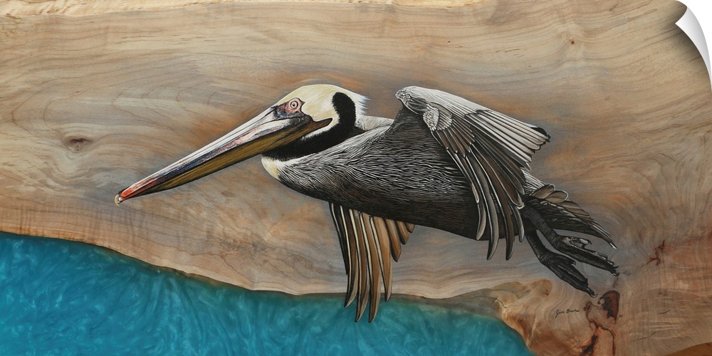 Pelican Over Turquoise Water