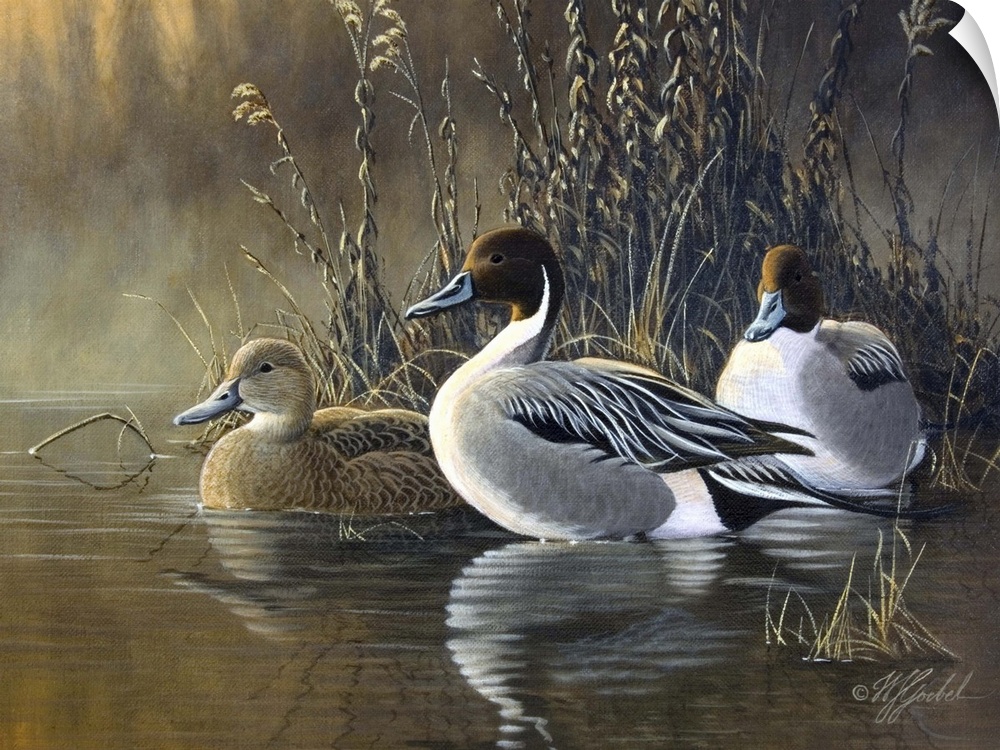 Three ducks near water's edge.