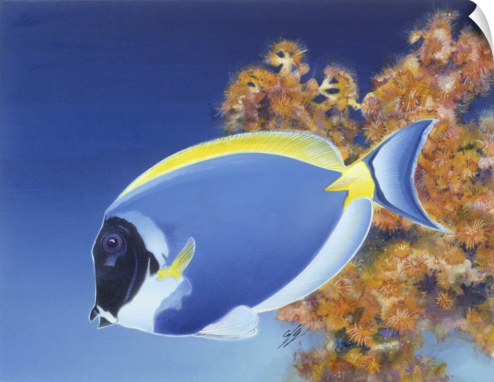 Contemporary painting of a tropical blue fish.