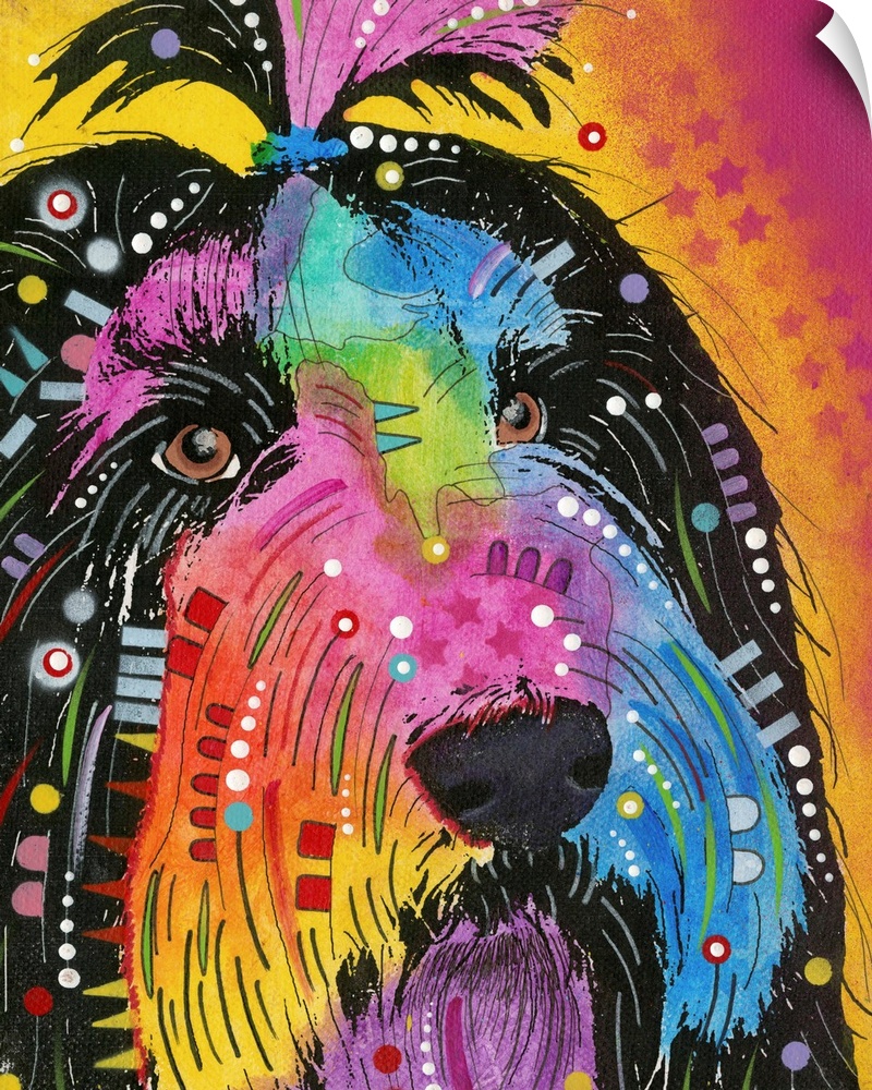 Colorful painting of a Havanese with abstract markings on a pink and yellow background with a star design.