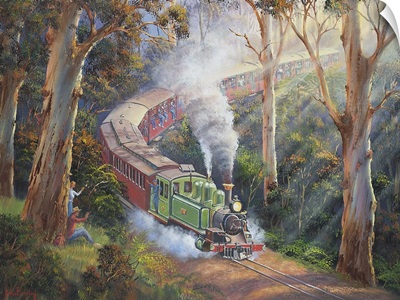Puffing Billy In Sherbrook Forest