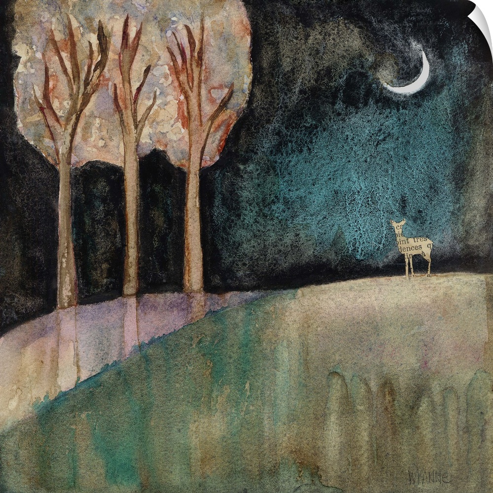 A deer standing at the edge of a path near trees at night.