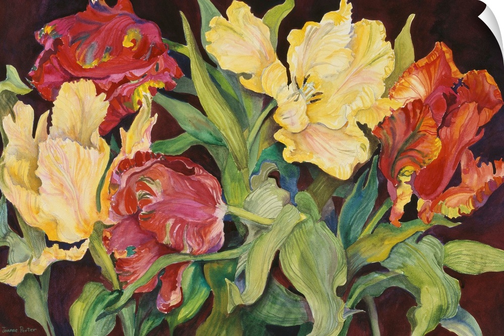 Colorful contemporary painting of red and yellow parrot tulips.