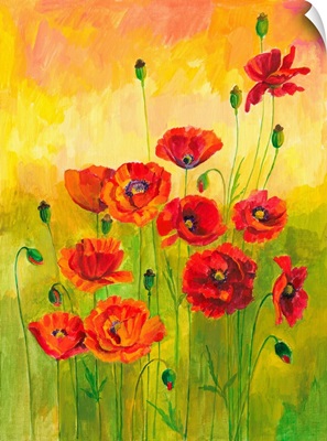 Red Poppies in Green Grass