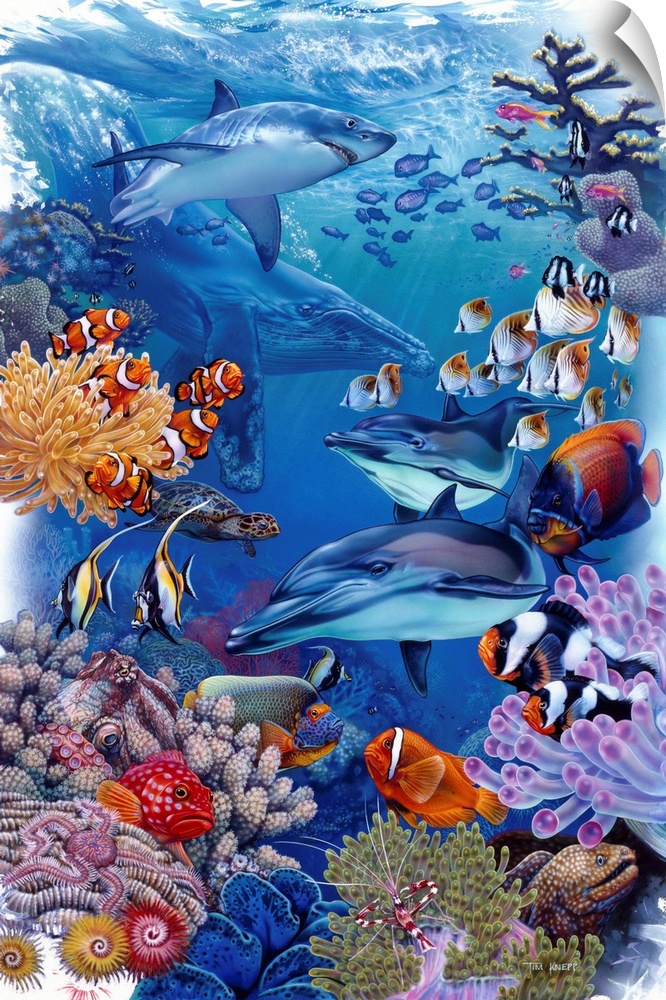 underwater scene with dolphins, shark, clown fish