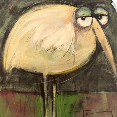 Rotund Bird