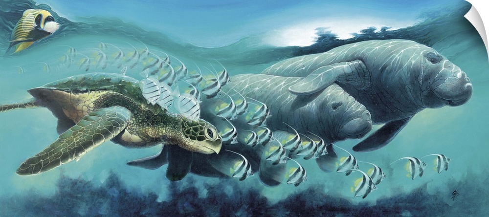 A contemporary painting of a cross section view of marine life.