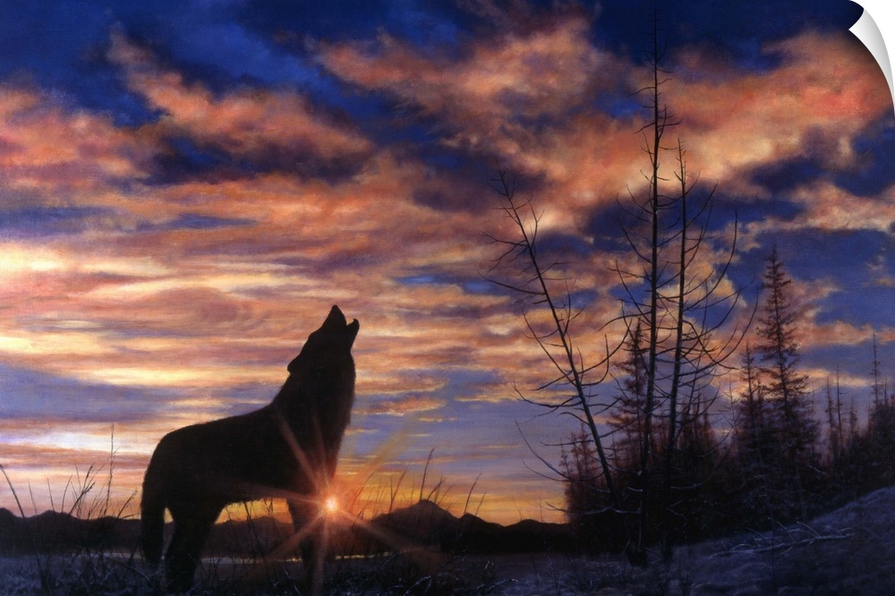 Contemporary artwork of a wolf howling up into the sky as the sun sets on the day.