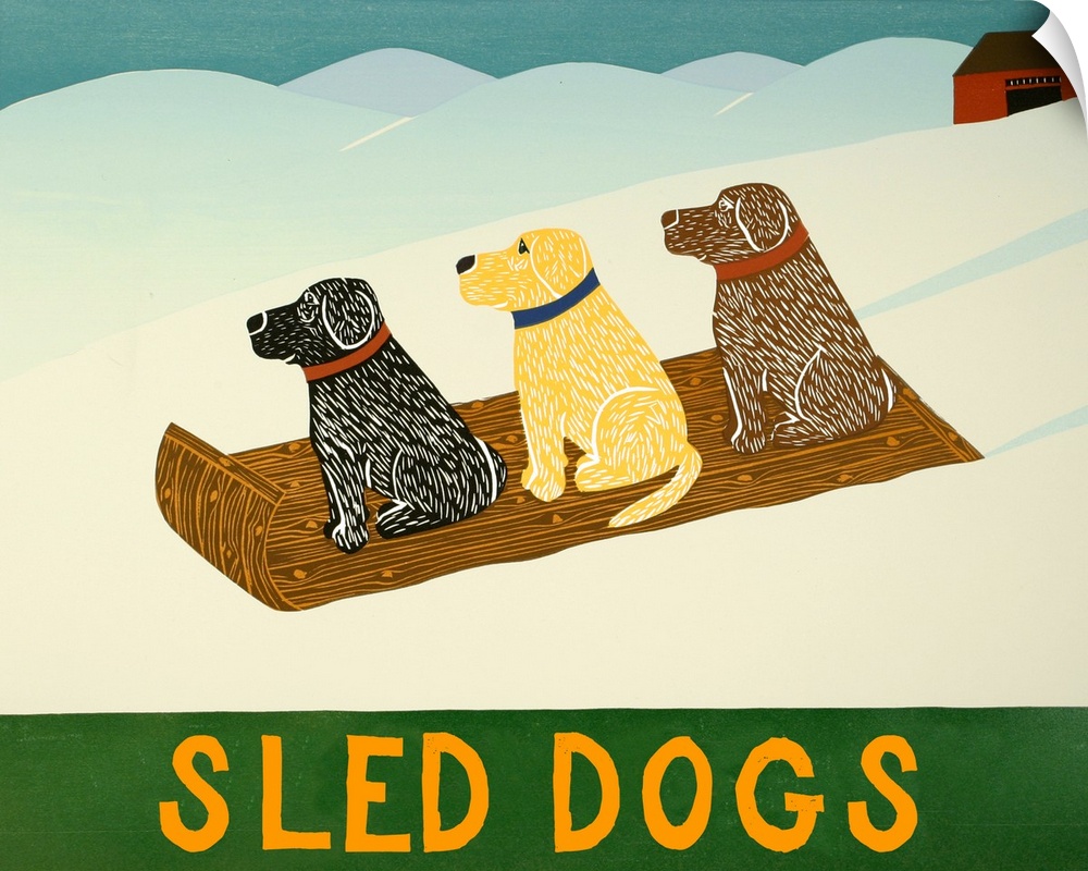 Illustration of a chocolate, yellow, and black lab sledding down the slopes with the phrase  "Sled Dogs" written on the bo...