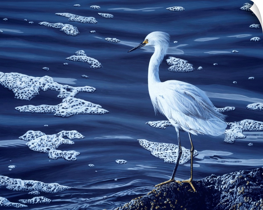 A snowy egret rests on a rock near the water's edge.