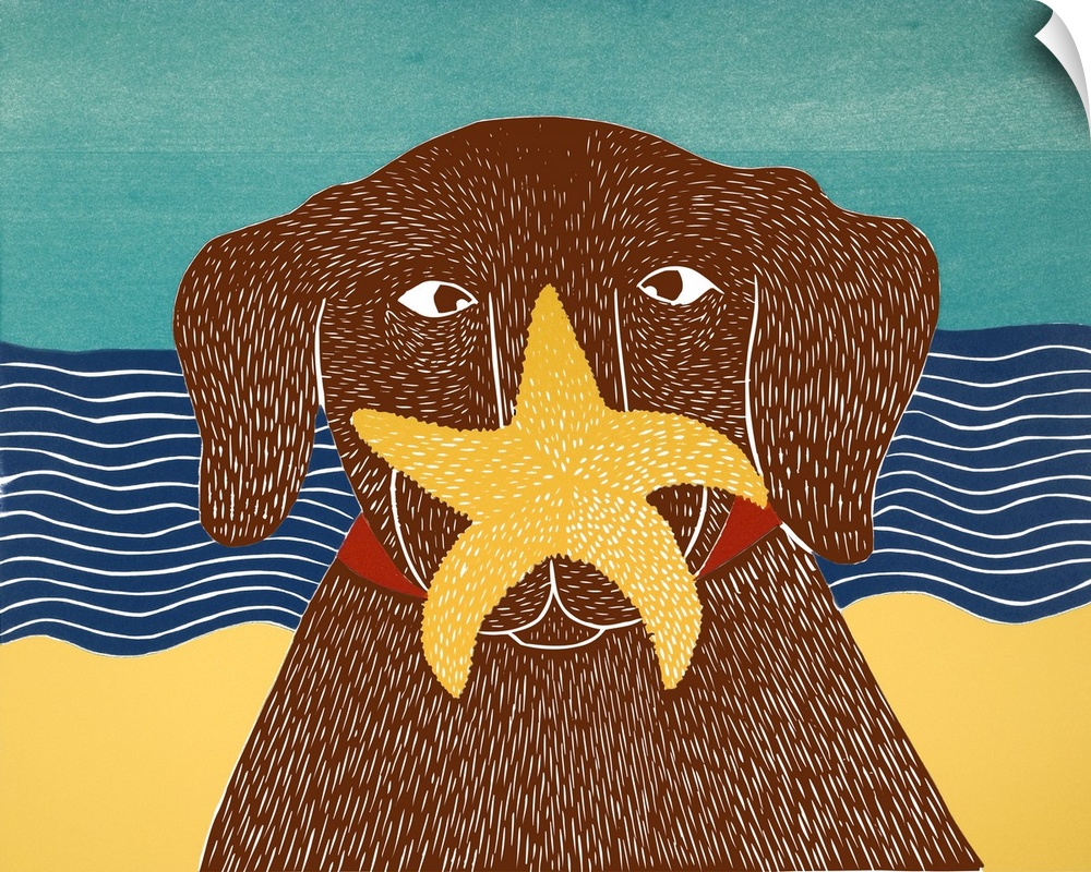 Illustration of a chocolate lab at the beach with a starfish on its nose.