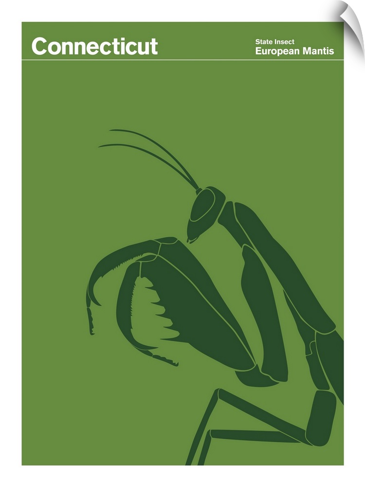 State Posters - Connecticut State Insect: European Mantis