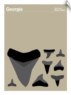 State Posters - Georgia State Fossil: Shark Teeth