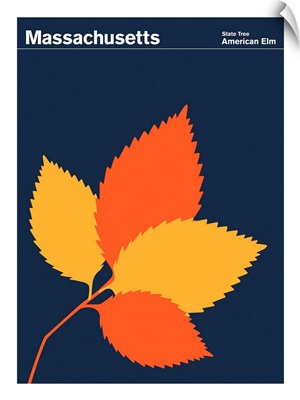 State Posters - Massachusetts State Tree: American Elm