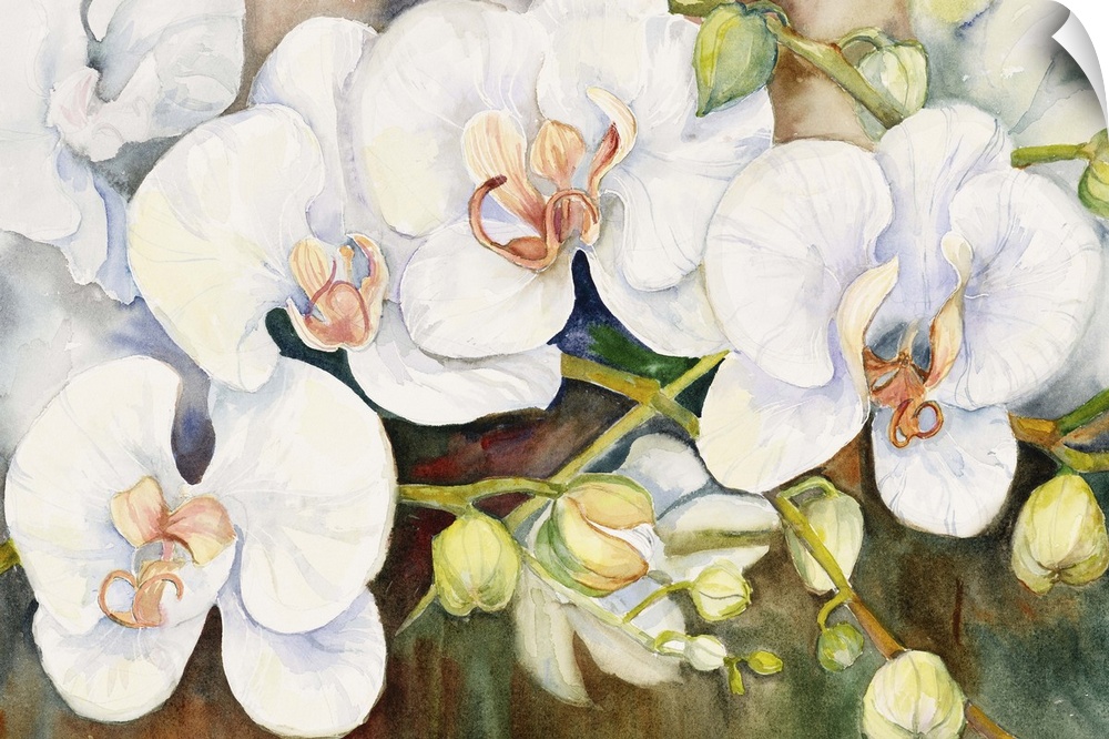 Colorful contemporary painting of white orchids.