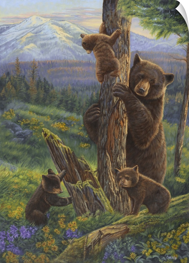 Bears climbing on a tree