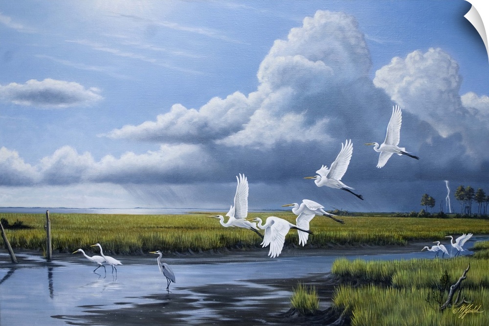 A flock of egrets in flight over a marsh with storm clouds in the distance.