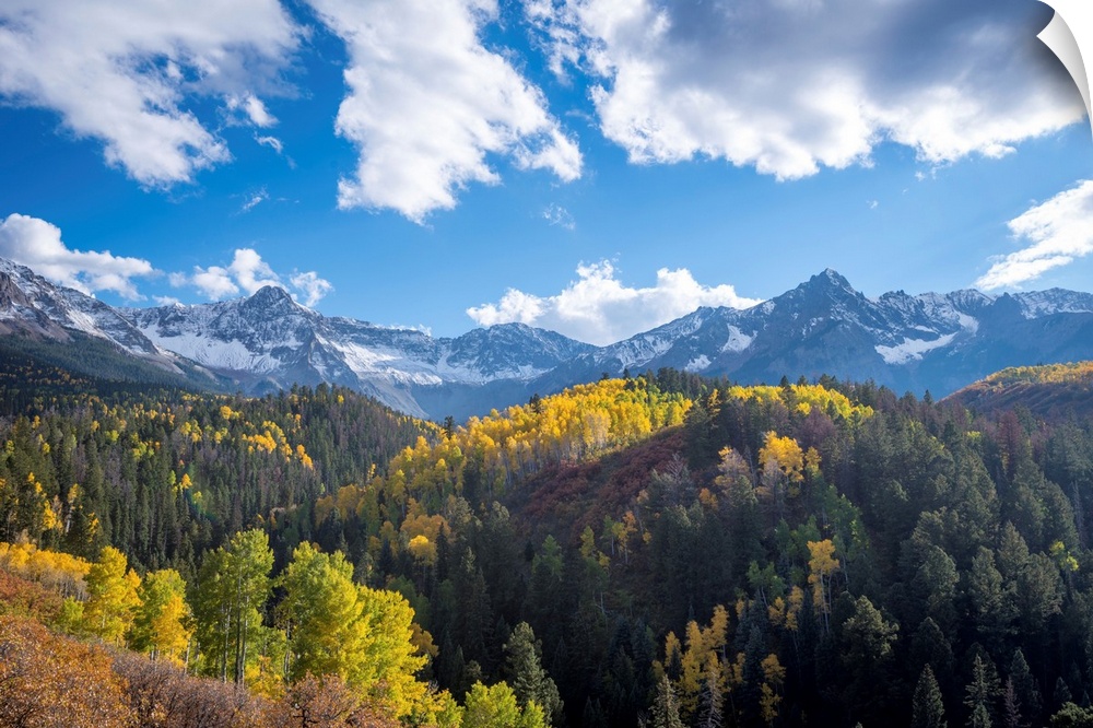 Landscape photograph of Autumn tree covered hills and snow covered mountains in the distance under a bright blue cloudy sky.