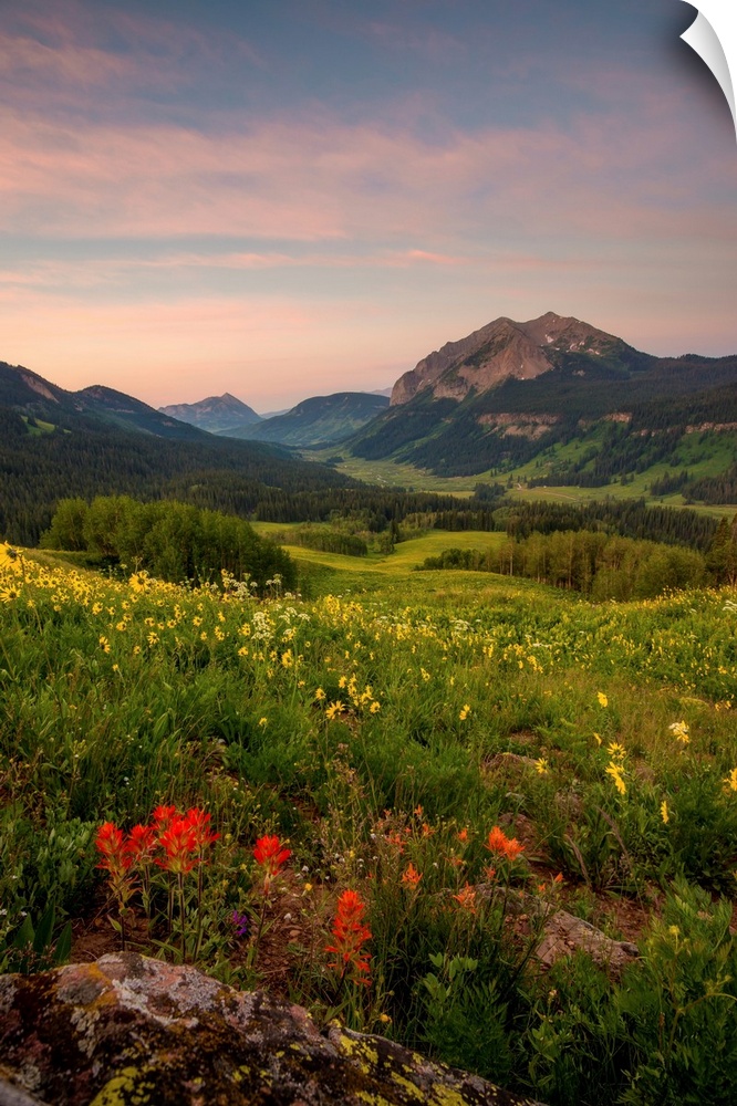 Landscape photograph of a field filled with wildflowers and mountains in the distance at sunset.